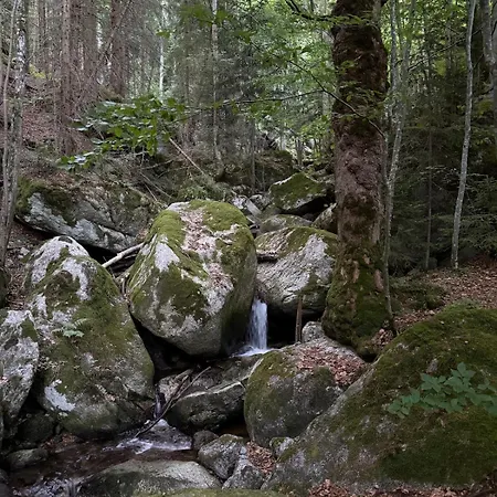 Appartement Ysperklamm